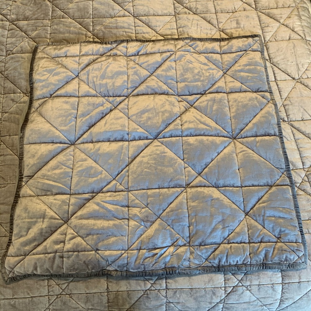 2 Anthropologie Grey Luxe Velvet Euro Shams